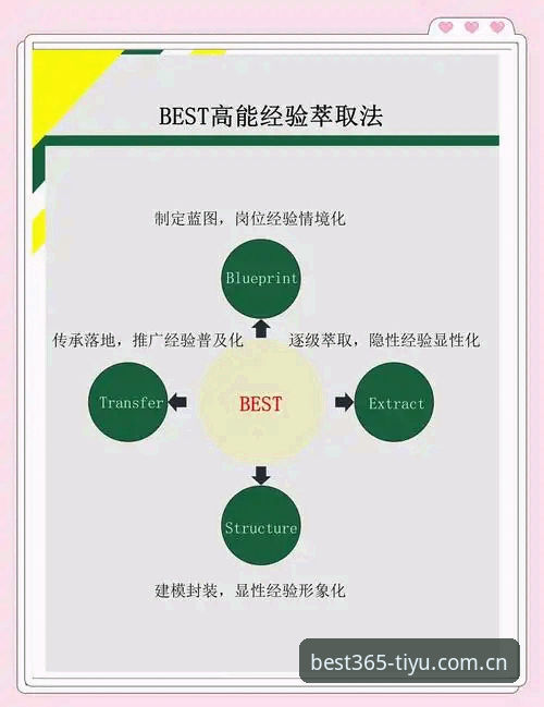 揭秘BEST365使用教程：从新手到高手的完整操作指南